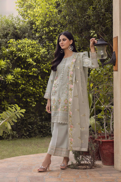 Haseena-Grey