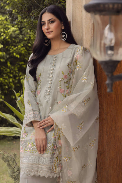 Haseena-Grey